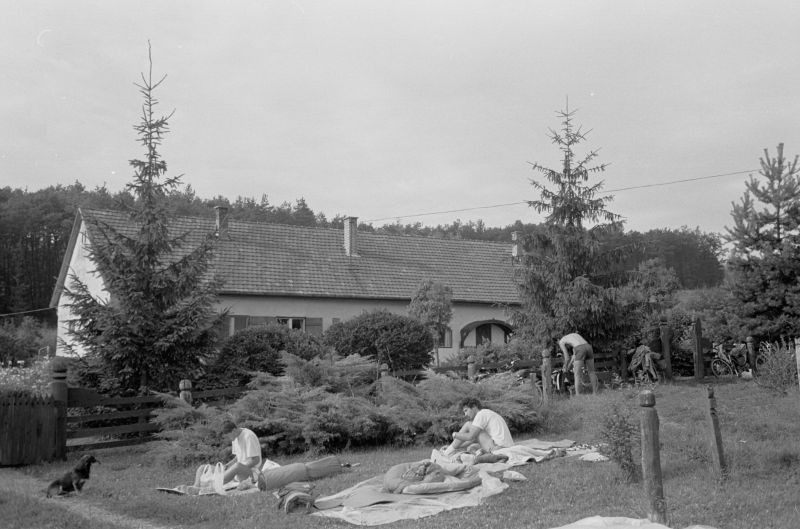 foto