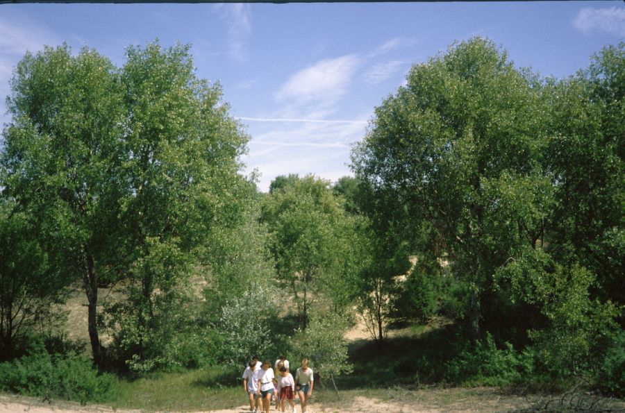 foto