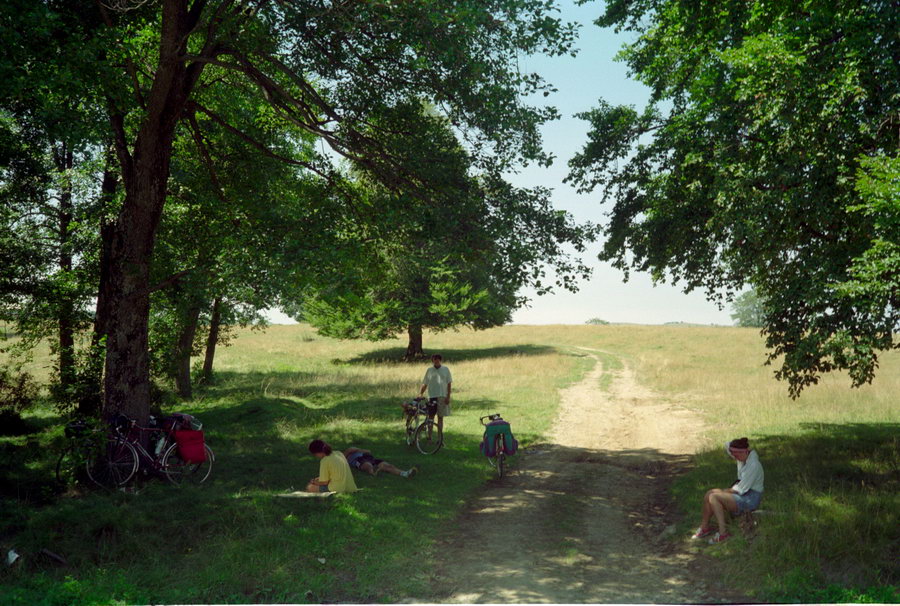 foto
