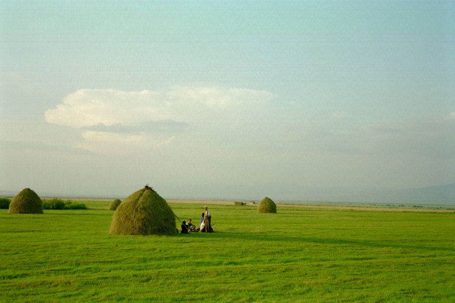 foto