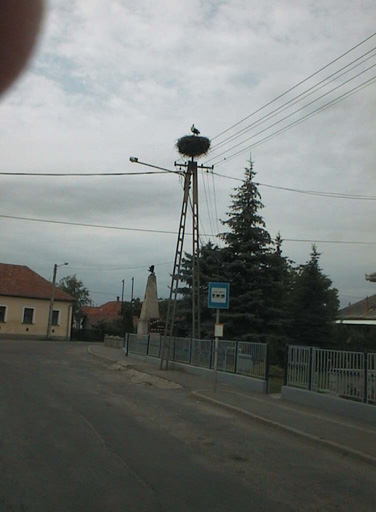 AUT28872