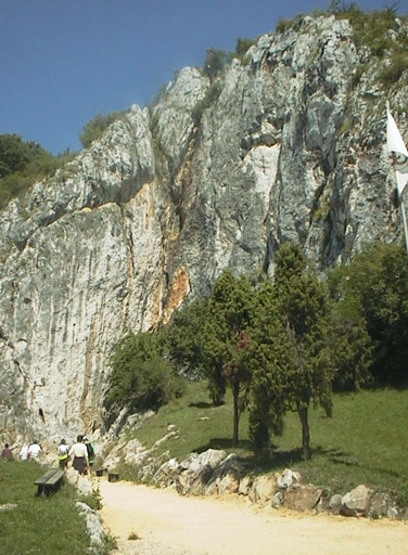 AUT29132