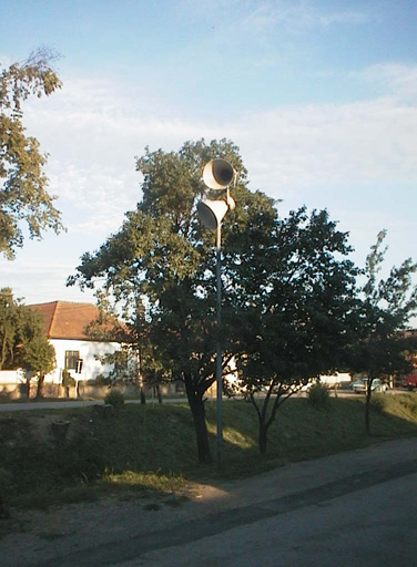 AUT29197