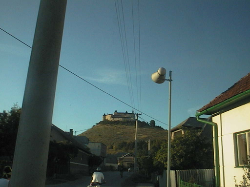 AUT29198