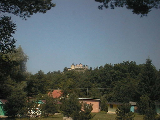 AUT29208