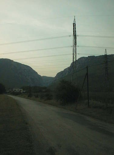 AUT29270