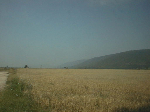 AUT29311