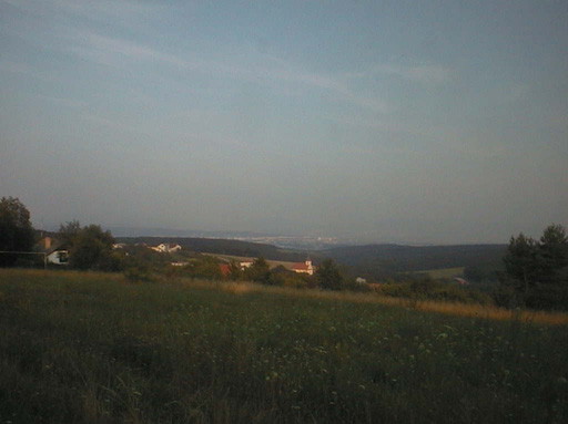 AUT29338