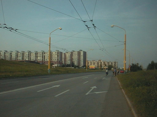 AUT29339