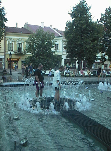 AUT29348