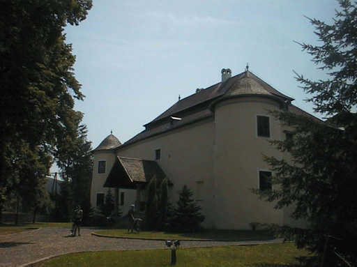 AUT29411