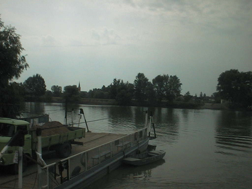 AUT29519