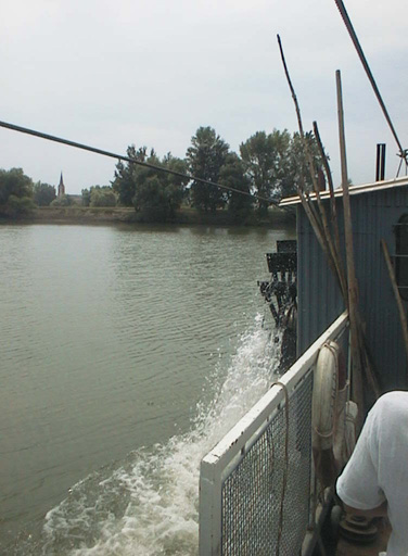 AUT29523
