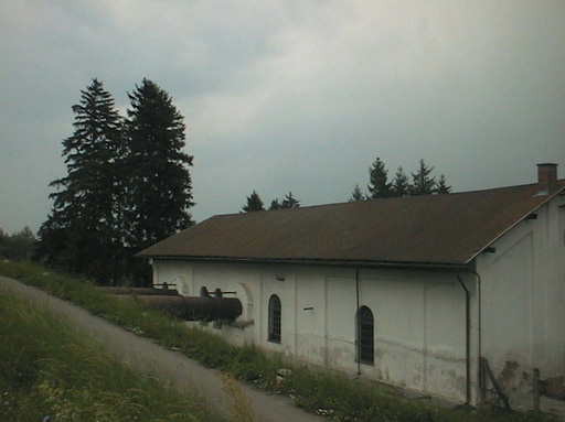 AUT29532