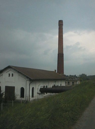 AUT29533