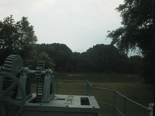 AUT29534