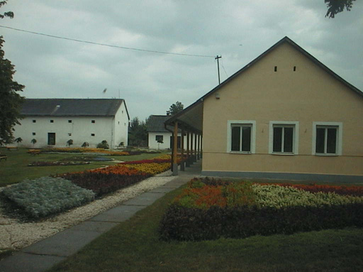 AUT29550