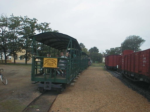 AUT29554
