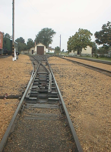 AUT29556