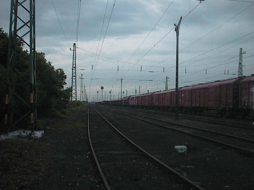 AUT29591