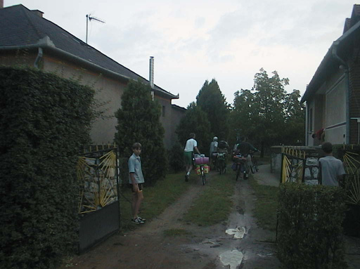 AUT29593