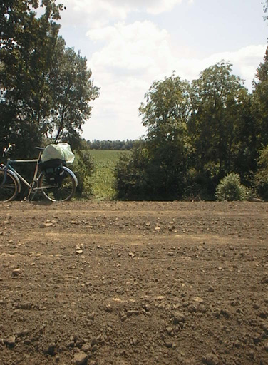 AUT29714