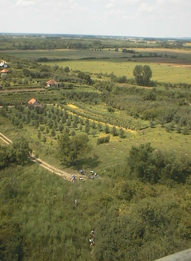 AUT29723