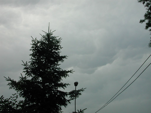 or20020713_5538t