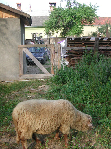 or20020715_5713t