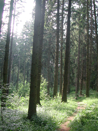 or20020715_5755t