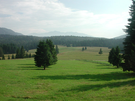 or20020715_5756t