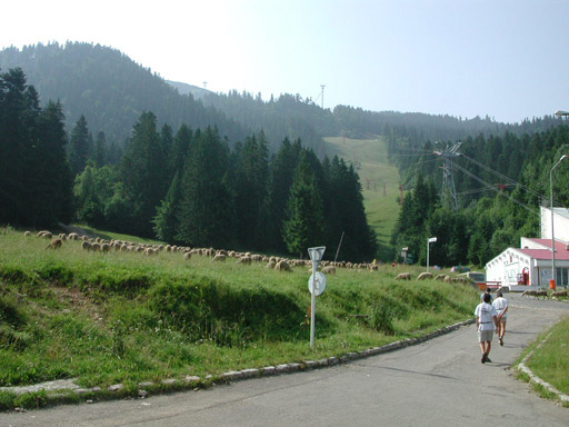 or20020716_5807t