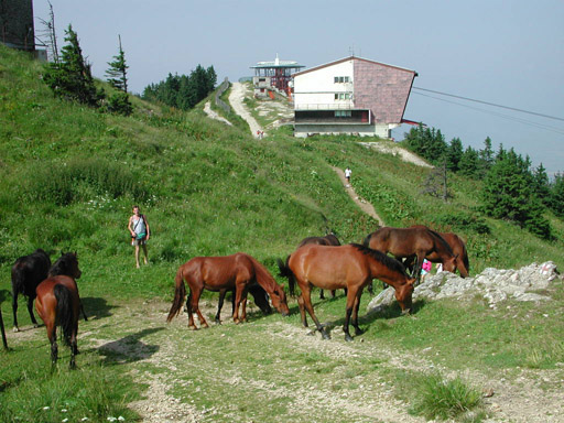 or20020716_5827t