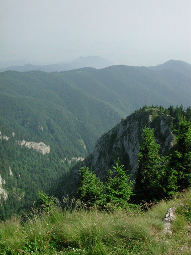 or20020716_5830t