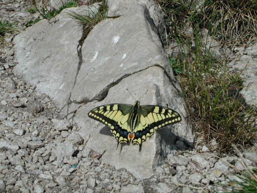 or20020716_5831t