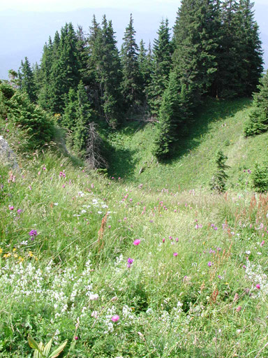or20020716_5841t