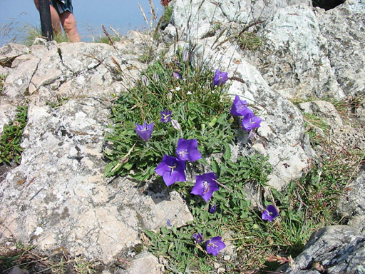 or20020716_5842f