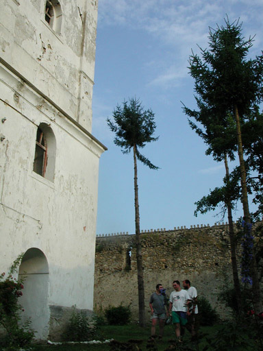 or20020716_5929t