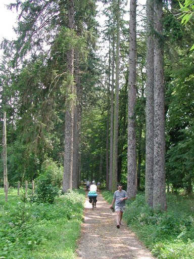 or20020717_6016t