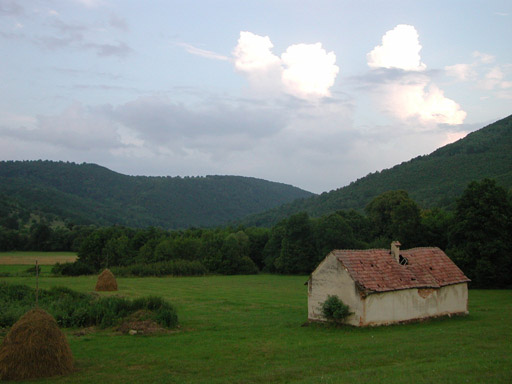 or20020717_6083t