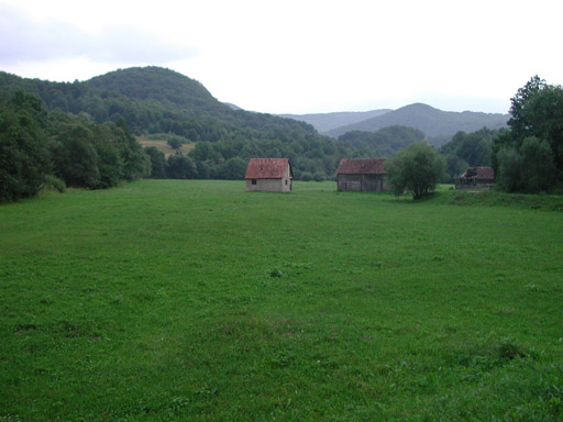 or20020717_6089t