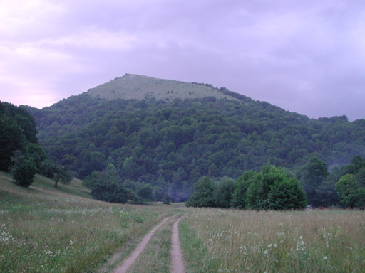 or20020717_6090t