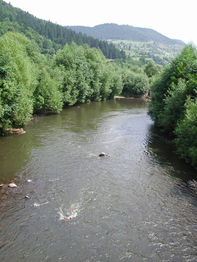 or20020719_6270t