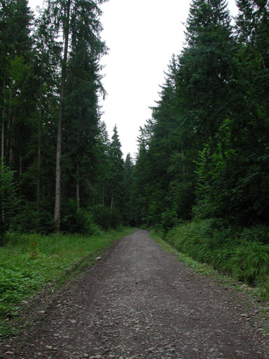 or20020719_6284t