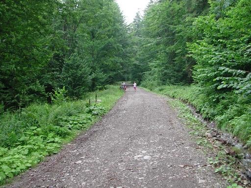 or20020719_6285t