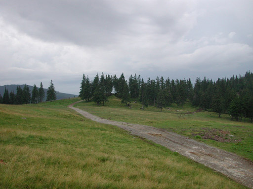 or20020719_6296t