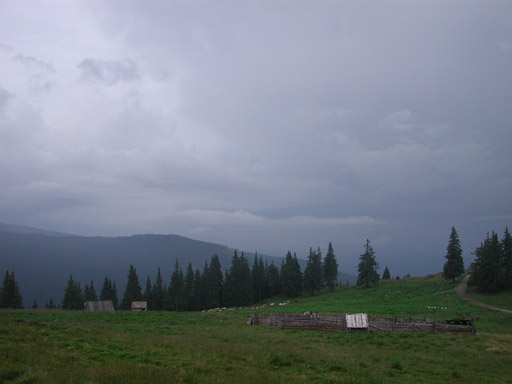 or20020720_6300t