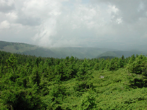 or20020720_6330t