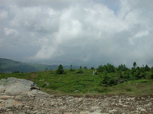 or20020720_6333t