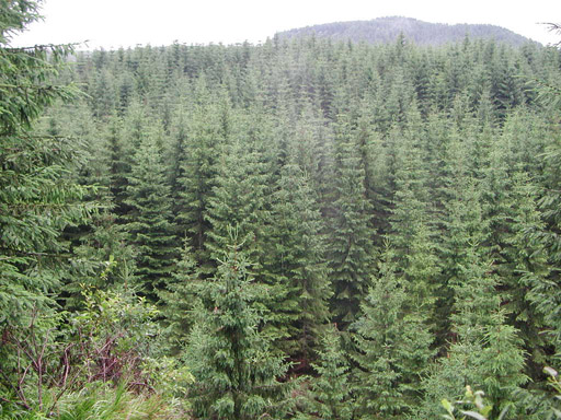or20020721_6436t